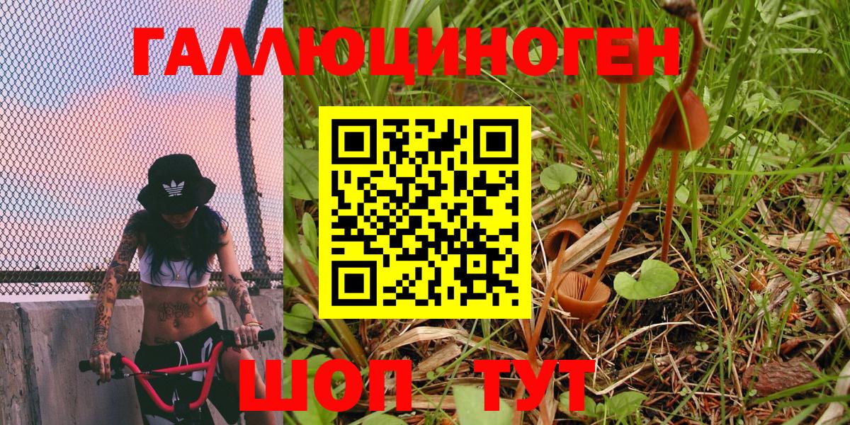 Кинель  закладки  Вход с VPN  Псилоцибиновые грибы мухоморы 